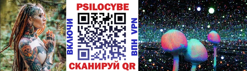 мега ССЫЛКА  Волхов  Галлюциногенные грибы Psilocybe 